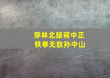 穿林北腿蒋中正 铁拳无敌孙中山